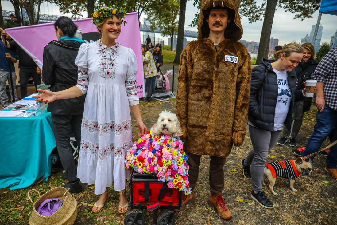 dogs in costume with humans